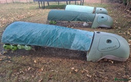 Chickens poultry for sale: Chickens & Omlet Eglu (2m run & accessories) - Image 2