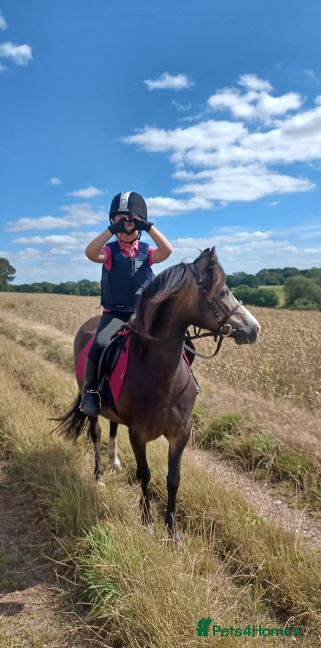 Welsh Section A horses for sale: Welsh Section A Mare Lead Rein pony - Image 4