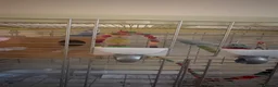 Budgerigars birds for sale: Breeding Pair of Budgies for Sale – £50  in Lowestoft - Advert 3