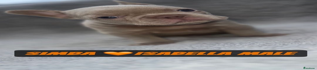 Simba