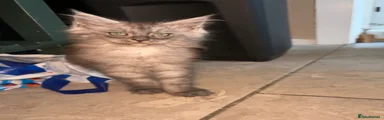 Stormy