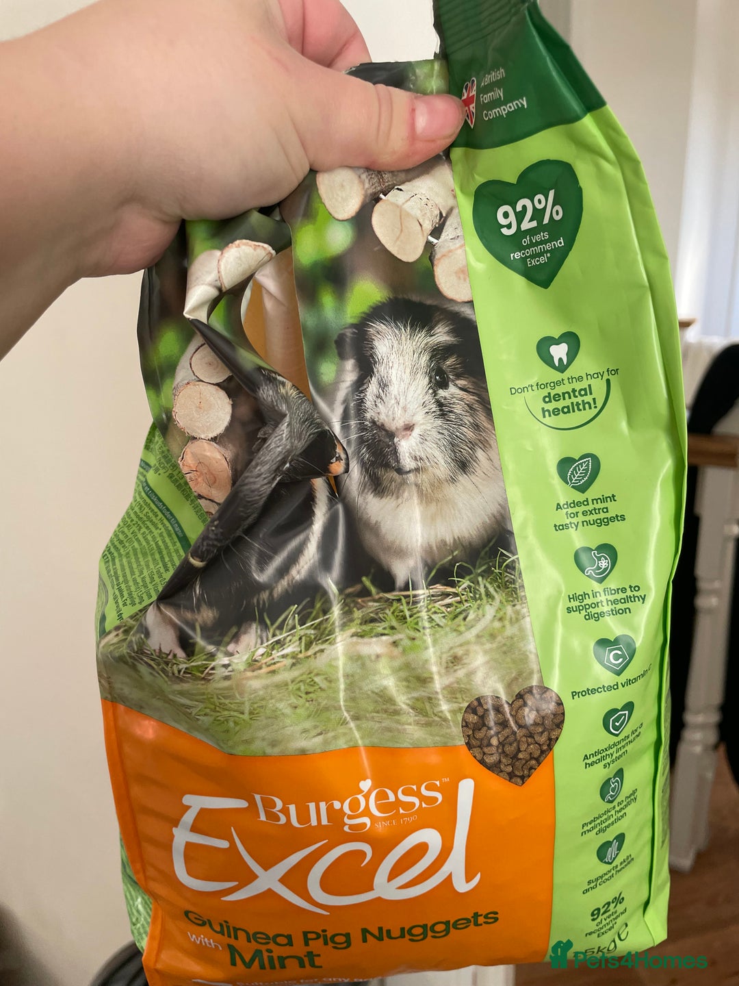 Guinea Pig rodents for sale: 3 male guinea pigs 8 months with everything includ - Advert 7