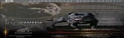 Staffordshire Bull Terrier dogs for sale: Luminastaffs & VaderBluStaf Last Pup Available - Advert 8