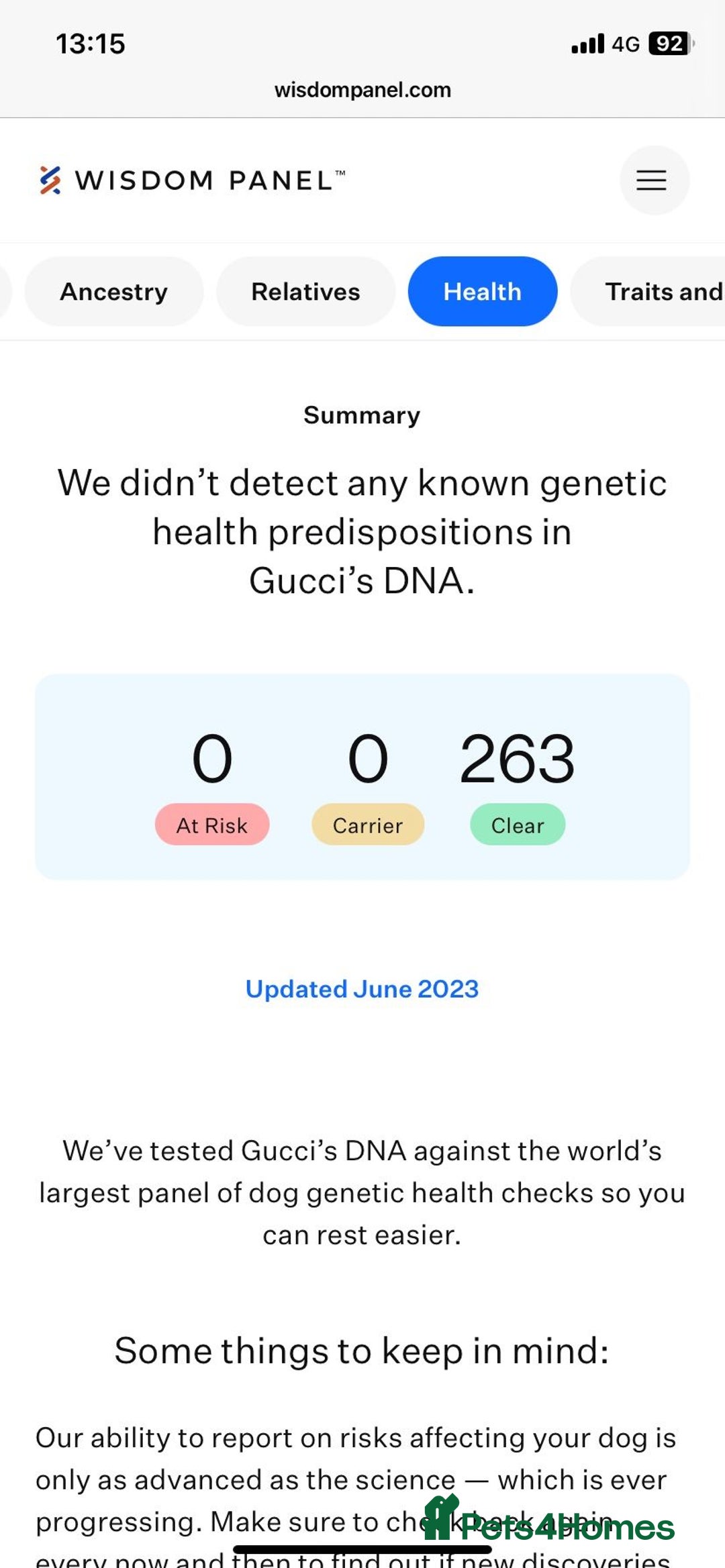 Mixed Breed dogs for sale: Maltese x Pomeranian  - Advert 8