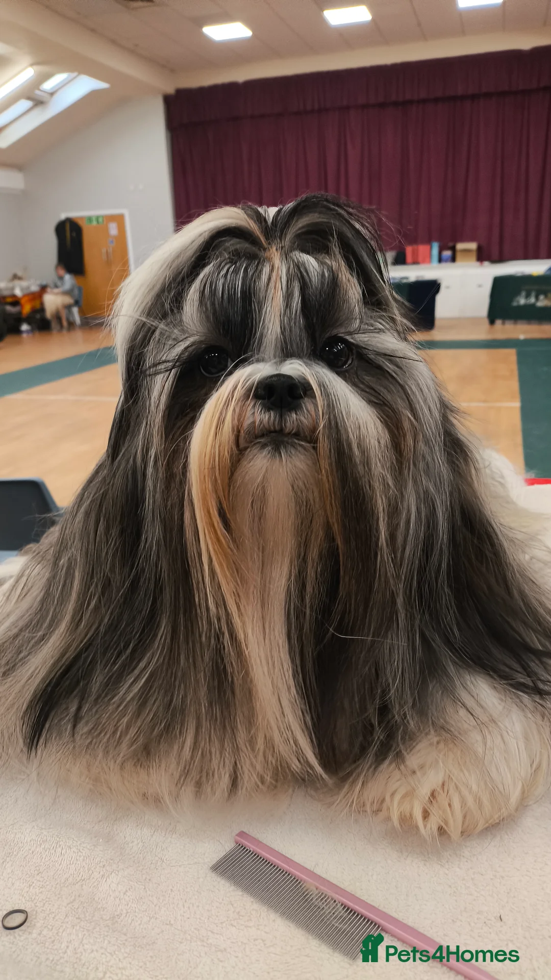 Gallery Image {{count}}