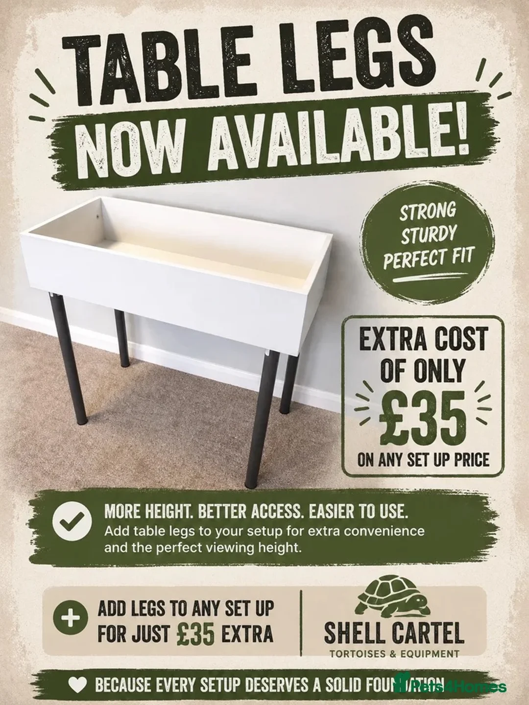 Tortoise reptiles for sale: BABY HERMANNS & SET UPS! - Advert 11
