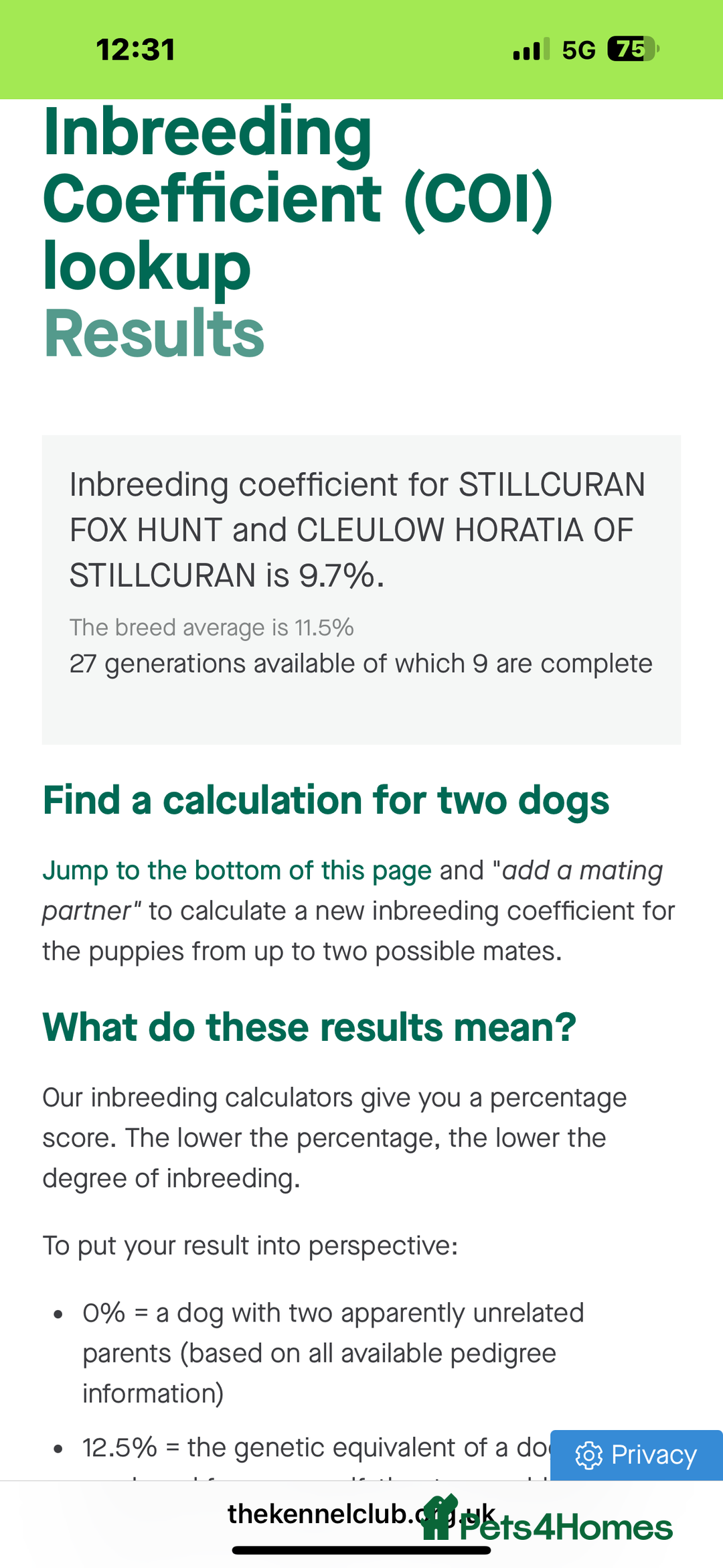 English Springer Spaniel dogs for sale: Fantastic ESS litter from two amazing dogs.  - Image 4