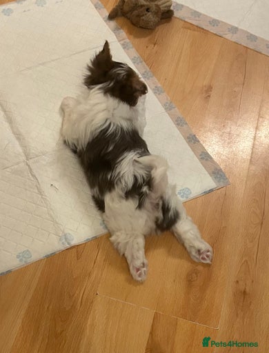 Gallery Image {{count}}