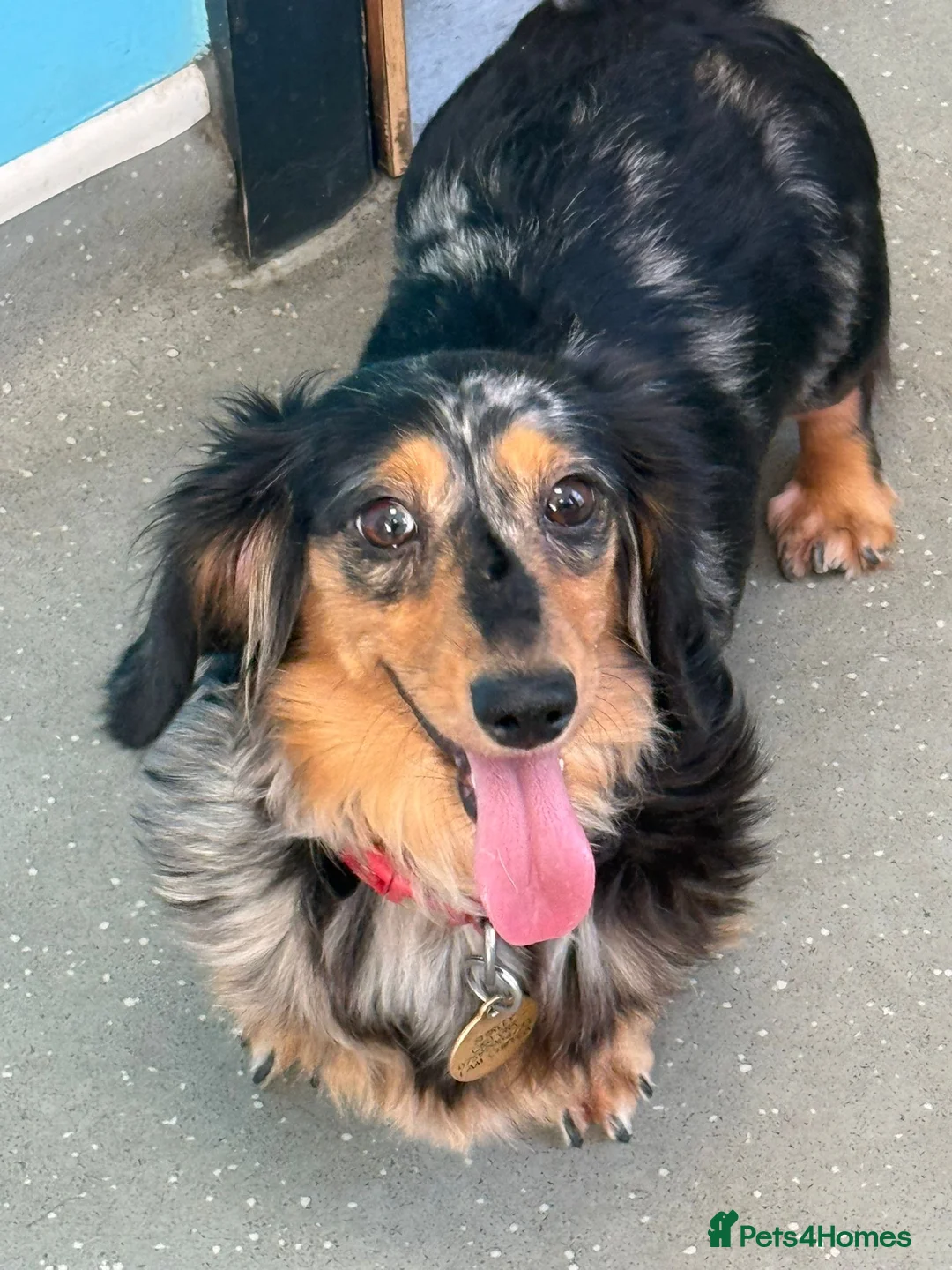 Gallery Image {{count}}