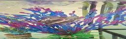 Turtle reptiles for sale: Reeves turtle with full set up - Advert 7