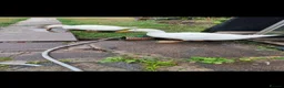 Ducks poultry for sale: 2 female ducks for sale - Advert 5