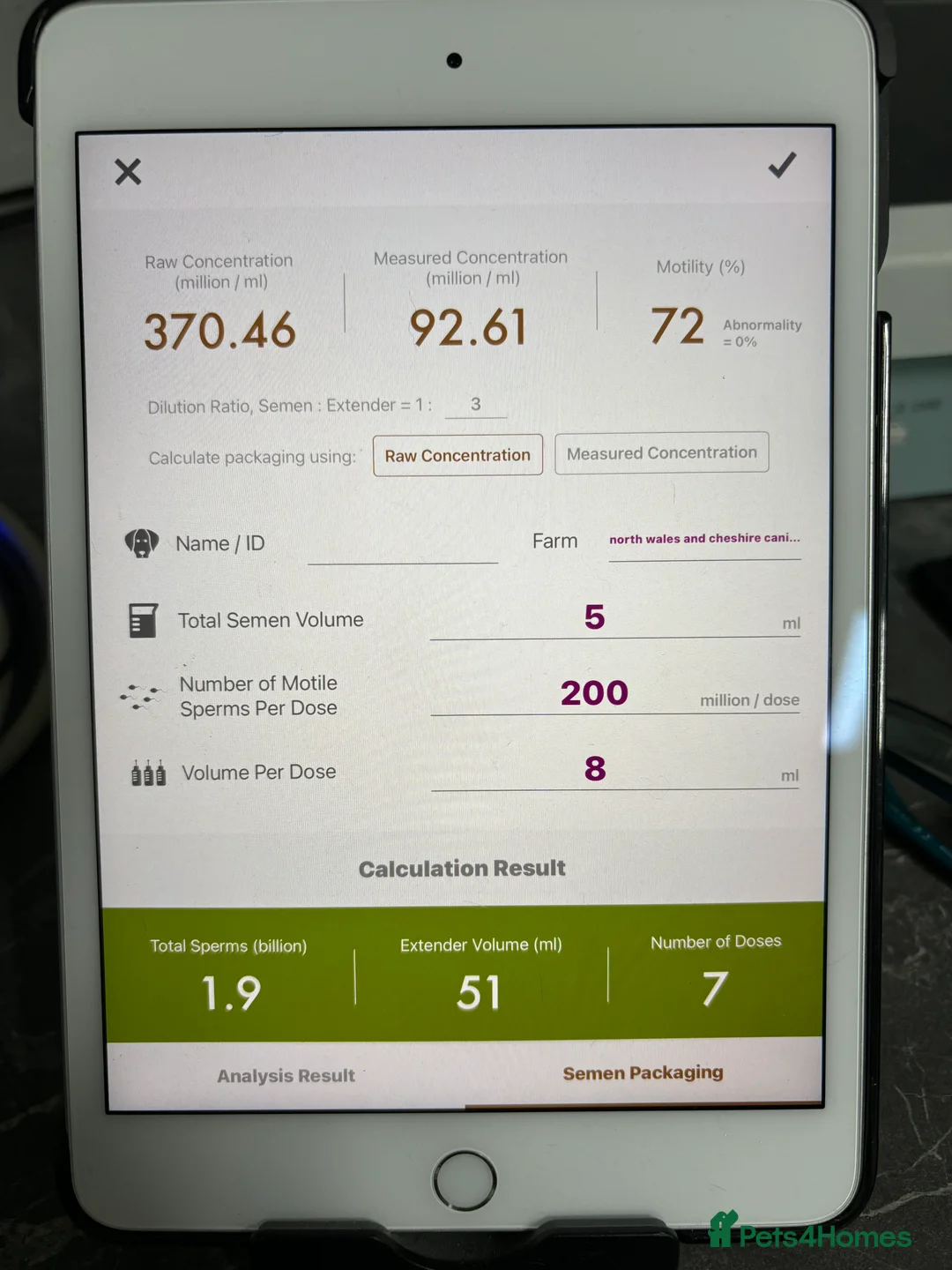 Cavalier King Charles Spaniel dogs for stud: Fully health tested Black and Tan stud.  in Wrexham - Advert 2