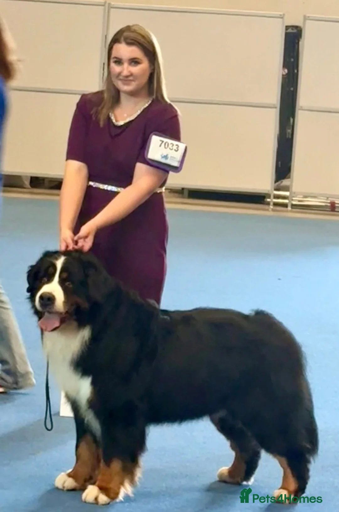 Gallery Image {{count}}