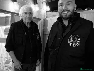 Mixed Breed birds Finch / Budgie / Canary / Love Birds - Advert 5