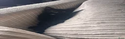 Mixed Breed cats for sale: little kitten available  - Advert 7