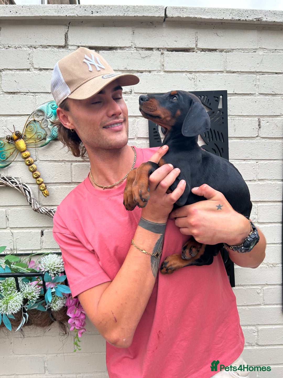 Dobermann dogs for sale: 🐾 Purebred Dobermann Puppies – Family Raised - Image 6