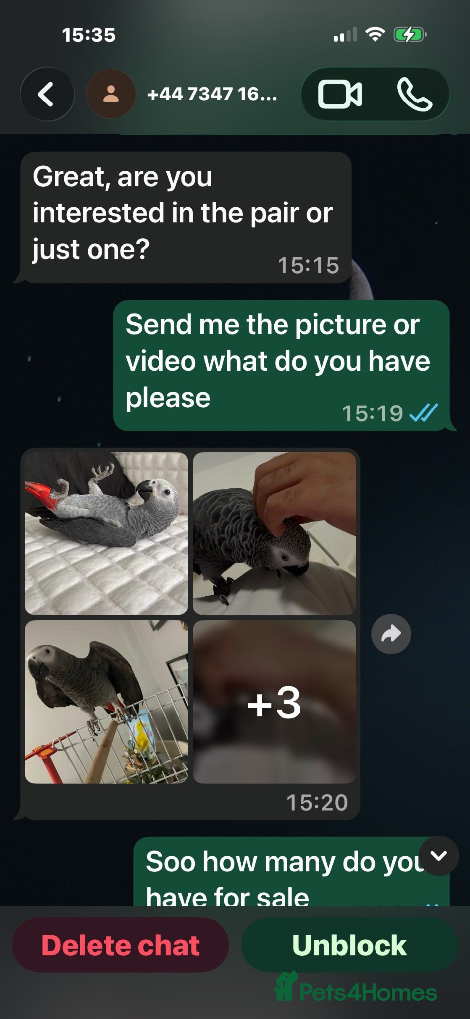 Parrots birds Parrot scammer - Advert 1