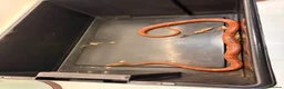 Corn Snake reptiles for sale: Male Corn Snake Years Old  in Ashtead - Advert 5