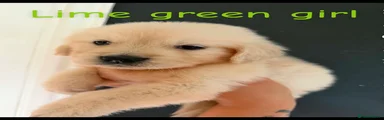 Lime green girl 