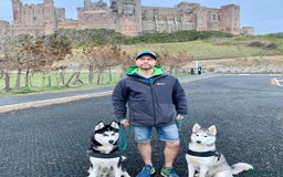 Siberian Husky dogs for sale: Siberian husky puppy’s for sale  - Image 4