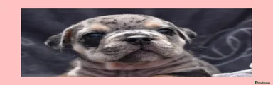 Skye
