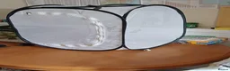 Stick Insects invertebrates for sale: India Stick Insects in Stirling - Advert 6
