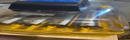 Quail poultry for sale: Baby quails hatching soon! - Advert 2