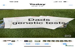 Cockapoo dogs for sale: F1 Cockapoo ( health tested parents) - Image 16