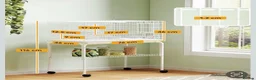 Conures birds for sale: Bird cage - Advert 2
