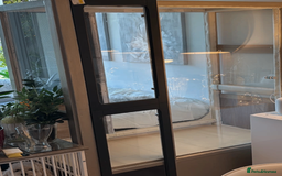 Budgerigars birds for sale: 5 Budgies and an aviary for sale - Advert 7