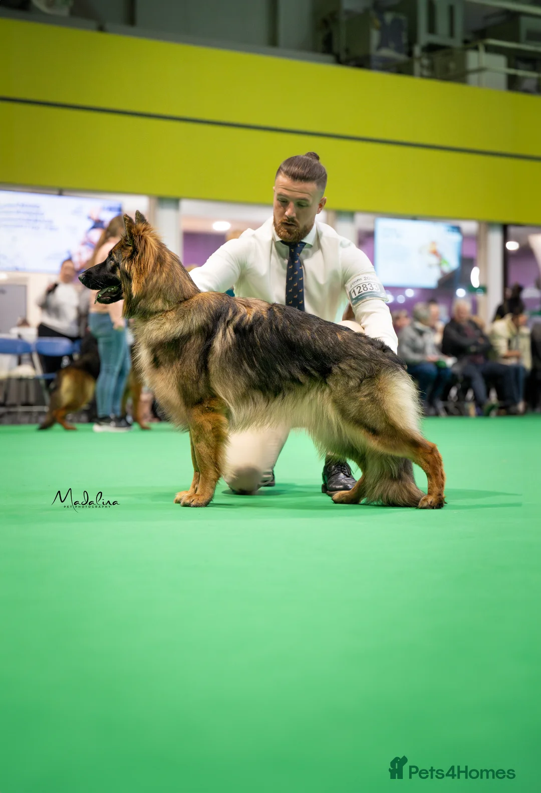 Gallery Image {{count}}