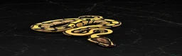Python Snake reptiles for sale: Stunning Baby Ball Pythons!  - Advert 9