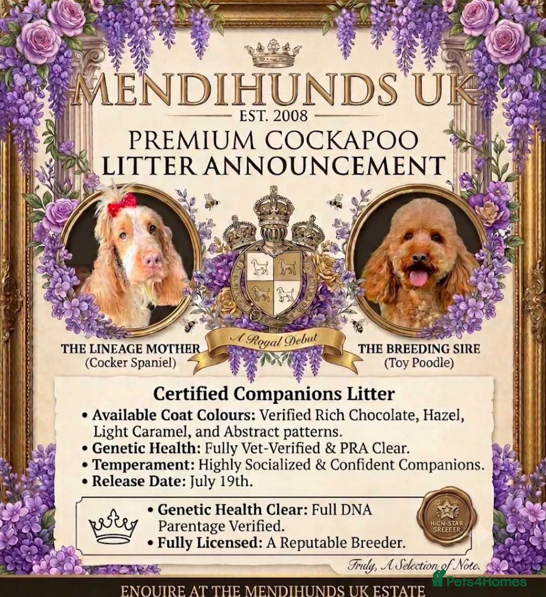 Cockapoo dogs for sale: ⚜️🌸Lady Whistledown Cockapoos🌸⚜️ - Advert 1