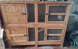 Guinea Pig rodents for sale: Guinea Pig set-up - Image 1
