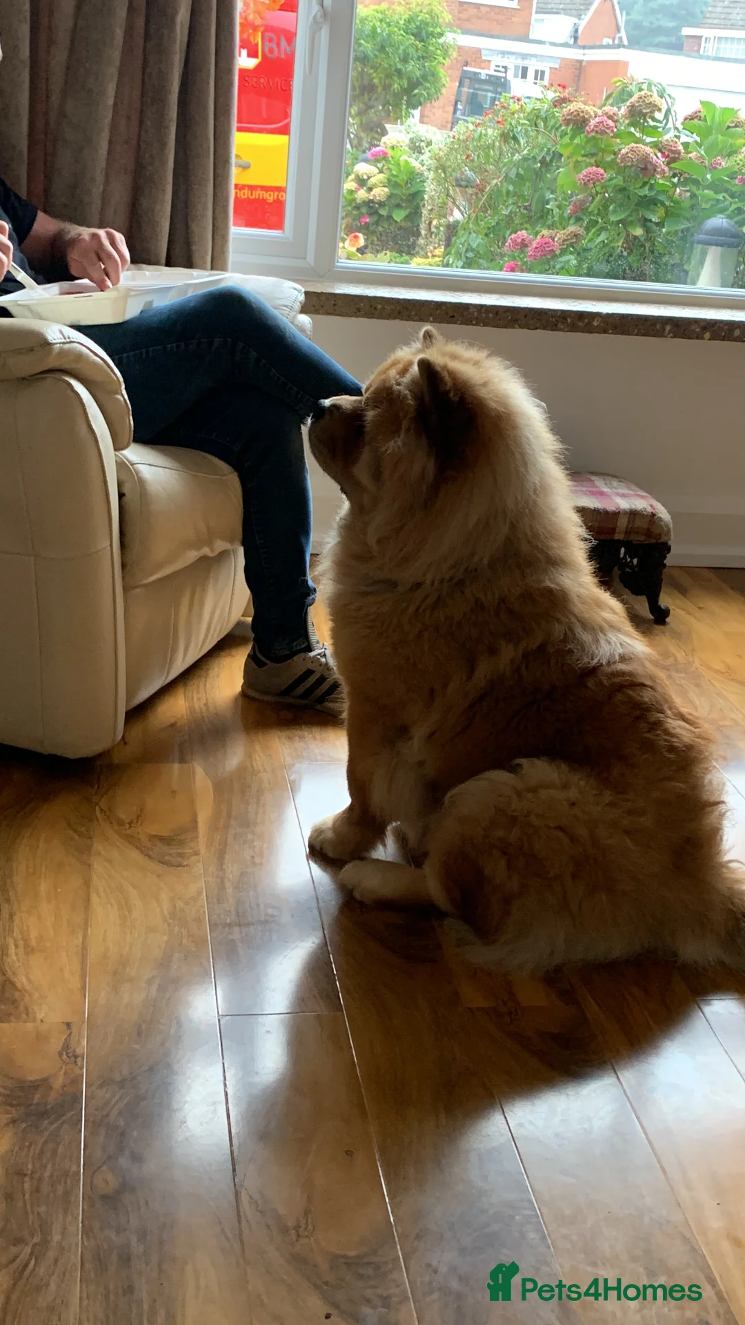 Gallery Image {{count}}