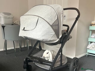 English Lop rabbits for sale - Advert 1