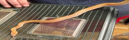 Snake reptiles for sale: Mixed Snakes - Advert 18