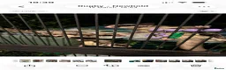 Sugar Glider rodents for sale: Sugar gliders  in Rugby - Advert 4