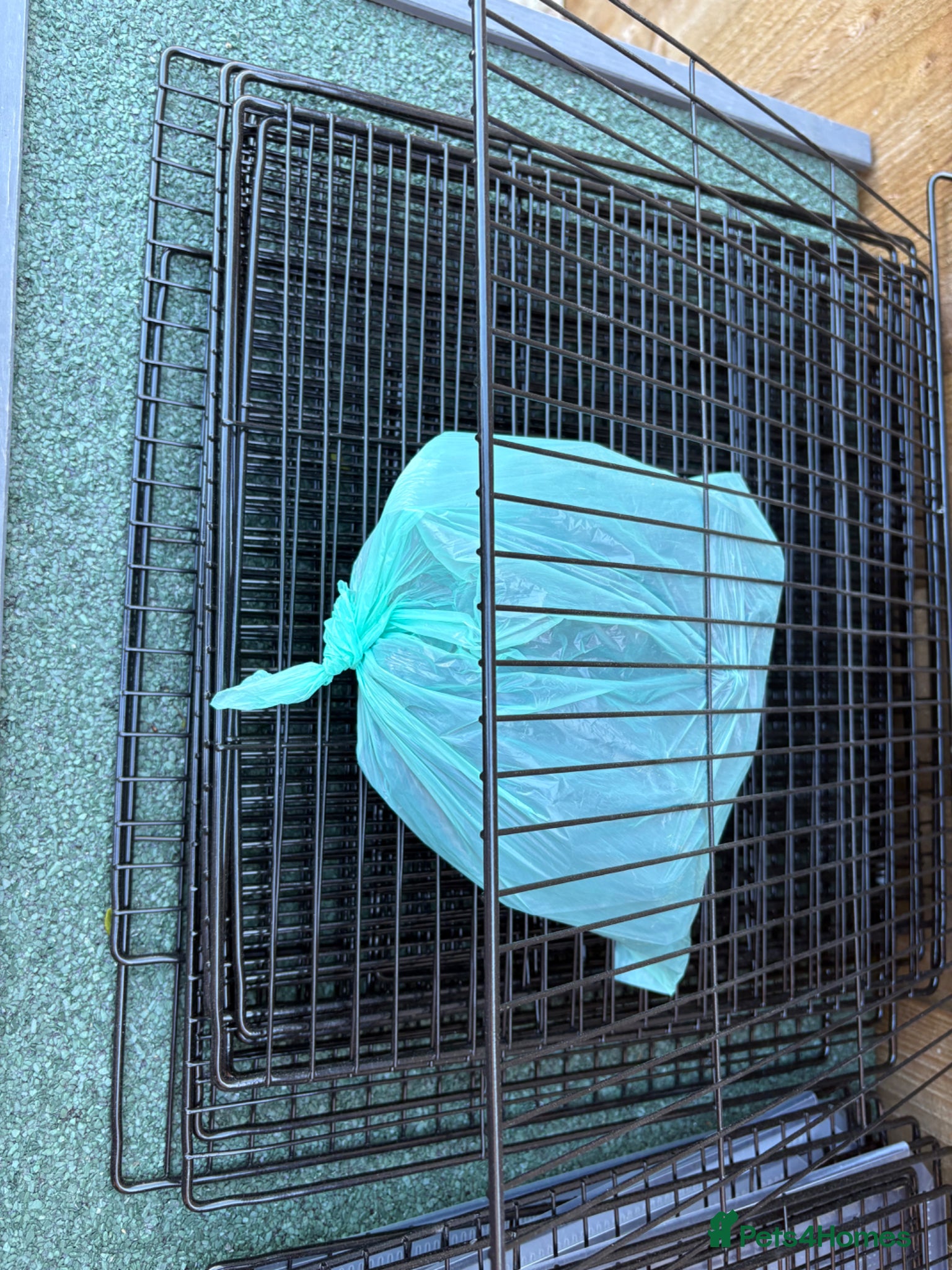 Netherland Dwarf rabbits for sale: Rabbit hutch / run for sale  - Advert 8