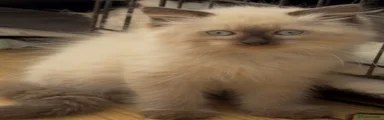 Siberian Kitten Girl