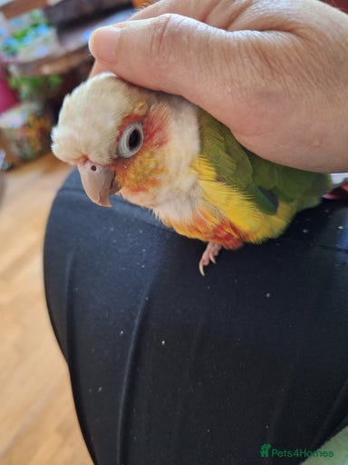 Gallery Image {{count}}