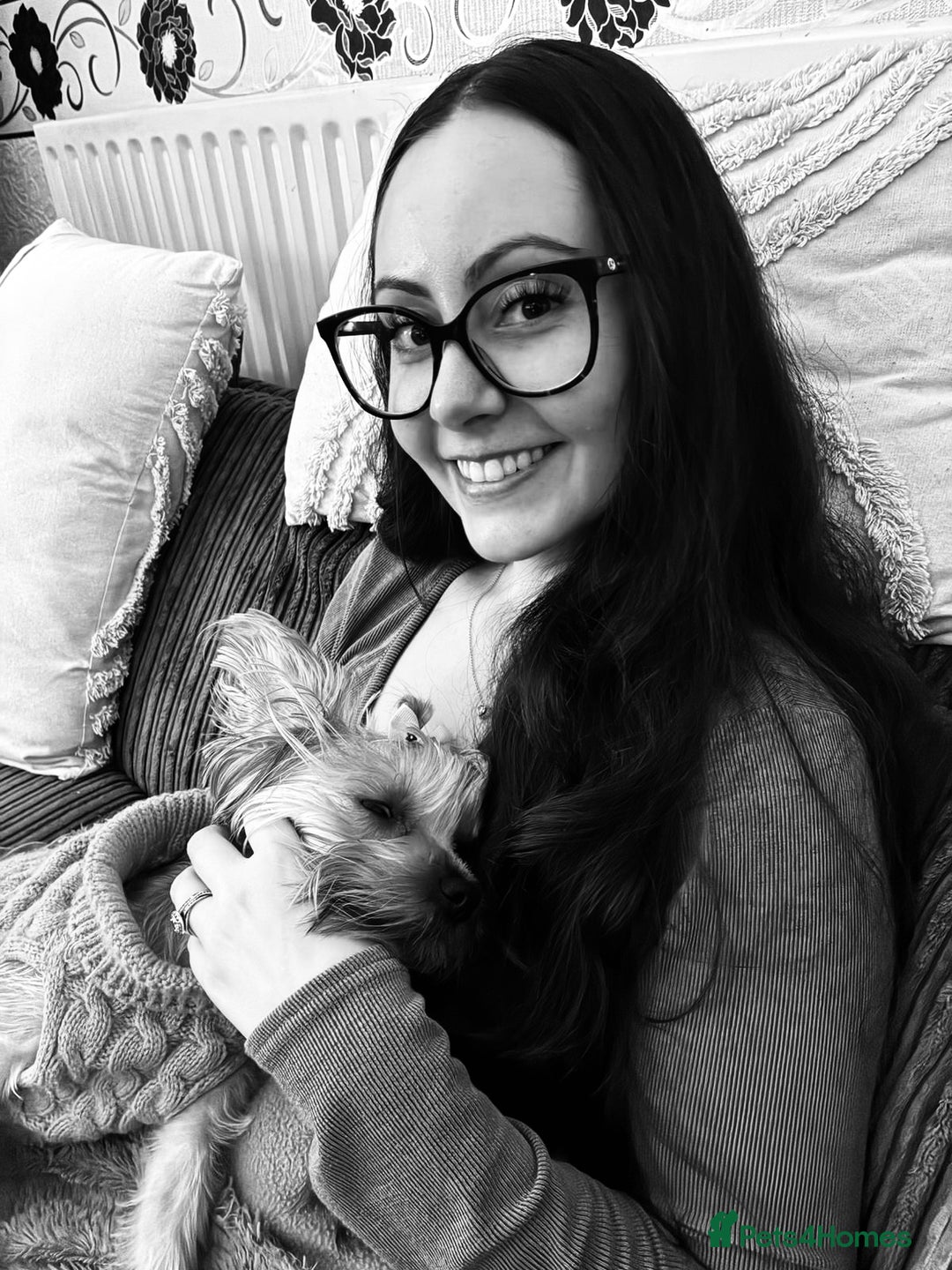 Yorkshire Terrier dogs for sale: Yorkshire Terrier, Female - Full Sized - 1yr old  - Advert 12