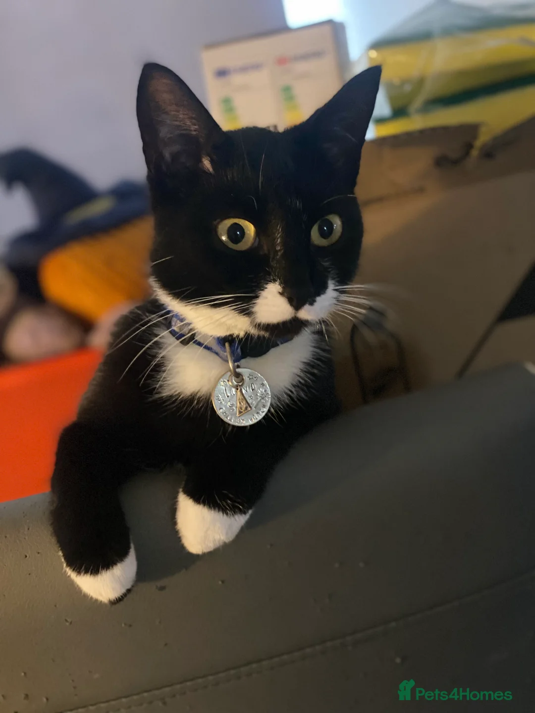 Gallery Image {{count}}