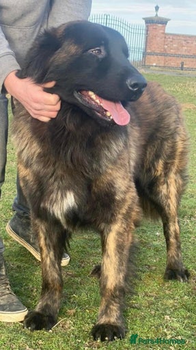 Gallery Image {{count}}