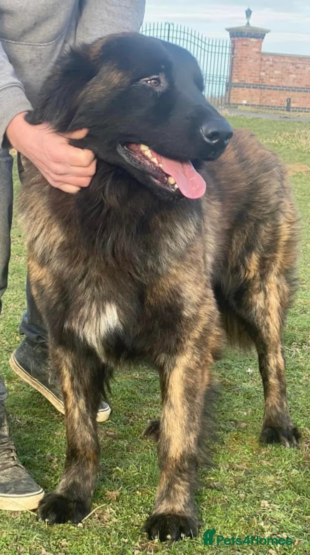 Gallery Image {{count}}