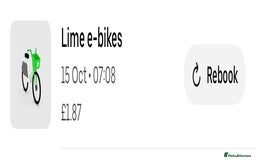 Mixed Breed cats for sale: British Short hair mixed breeds  - Advert 12