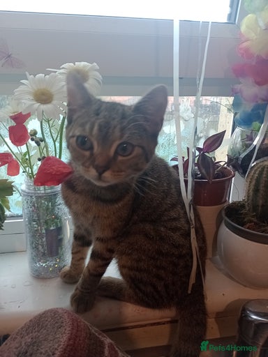 Gallery Image {{count}}