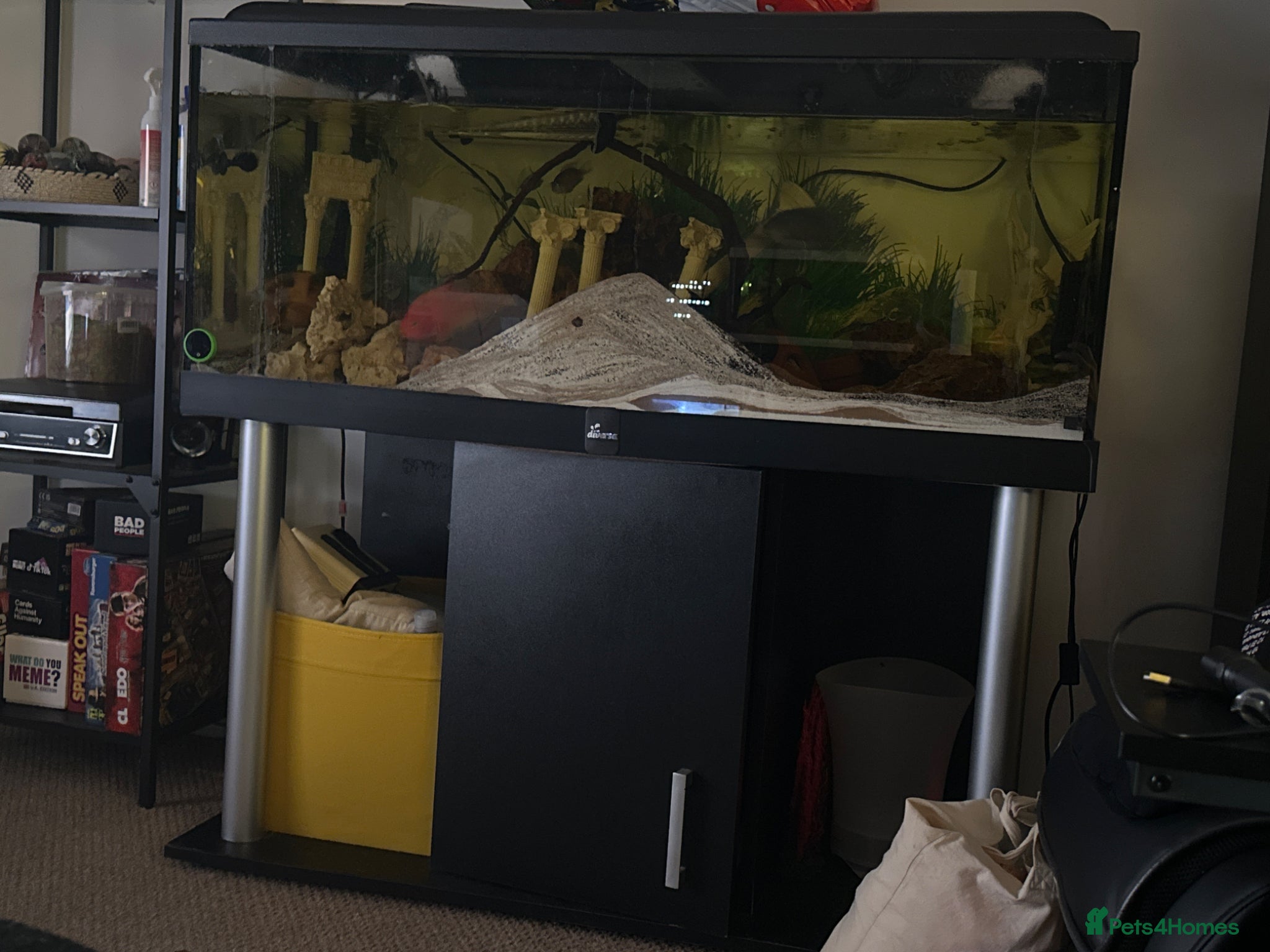 Other/Mixed Breed fish 500L Aquarium with Fish, Heater & External Filter  - Advert 14
