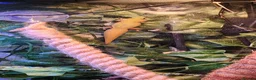Gecko reptiles for sale: Breeding Pair Gold Dust Day Gecko - Advert 3