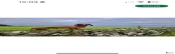 Dachshund dogs for sale: Beautiful KC reg, standard dachshund puppies  - Advert 13